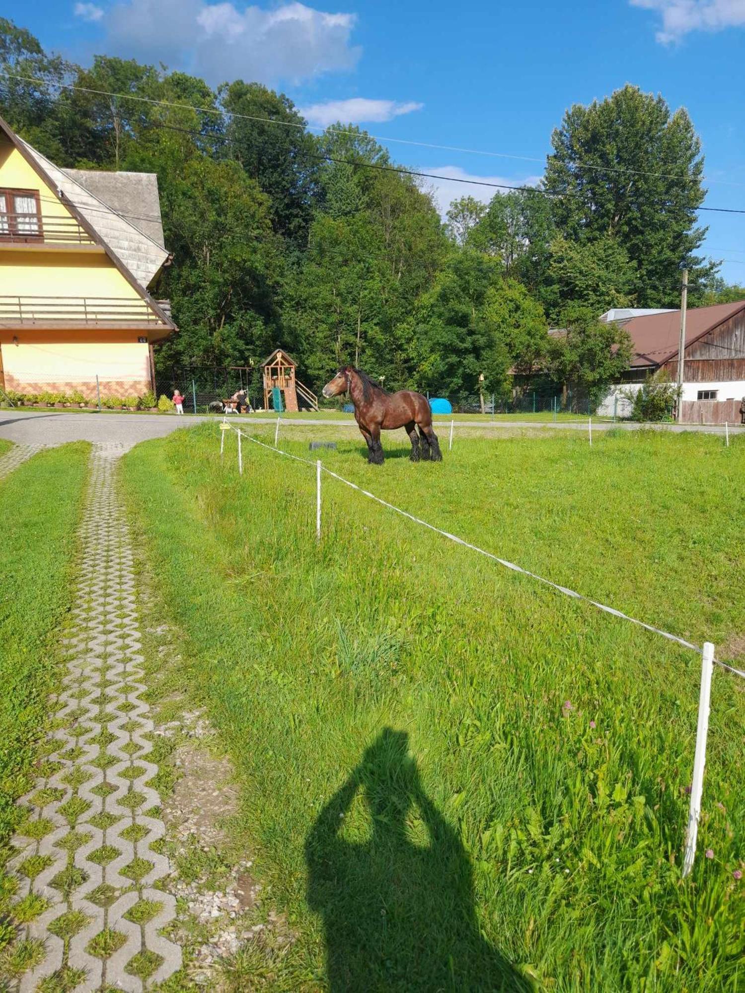 Apartamento Zakatek Pienin Grywald Exterior foto